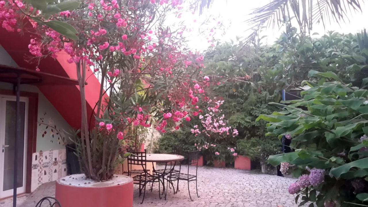Bed and Breakfast Casa 3 Aguias Авейру Екстер'єр фото